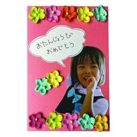 ペーパーインテリジェンス フラワーマルシェ ベゴニア カラーソート 4109614FMベゴニアアソート 1セット(1個×5)（直送品）