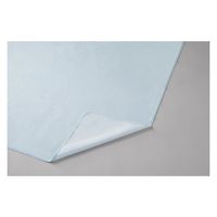 ピップ S101 大人用防水シ-ツ 吸収速乾 4902522740425 1枚（直送品）