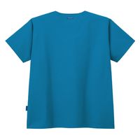 フォーク ジアスクラブ7070SCターコイズSS 7070SC 1セット(1枚×2)（直送品）