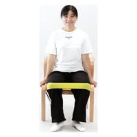 DLM レクトレループバンドL黄色 弱弱F105291 F105291 1セット(2個)（直送品）