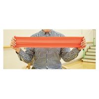 DLM レクトレバンド1.2赤 弱(2本組) F105602 1セット(2本組)×2（直送品）