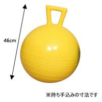 アカバネ ジャンプボール F-2024 黄 46cm径 1個（直送品）