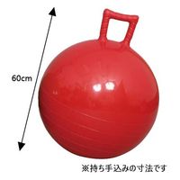 アカバネ ジャンプボール F-2026 赤 60cm径 1個（直送品）