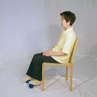 DLM レクトレマッサージローラ F301994 1個（直送品）