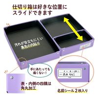 プラス 仕切り箱付きおどうぐばこ パープル FL-196SF 1個（直送品）