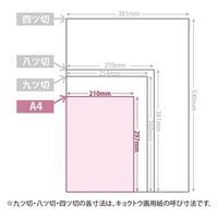 キョクトウ 白画用紙 A4 薄口 100枚 KE085A4 1包（直送品）
