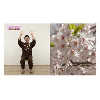 キングレコード DVD)春夏秋冬 目と耳で楽しむイス体操 KIBE-172 1枚（直送品）