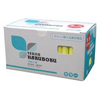 日本白墨工業 ルミナスチョーク 100本キ LCH-3 1箱（直送品）