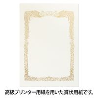 オキナ OA対応賞状用紙 SX-A3Y A3横書 10枚 1パック(10枚)×2（直送品）