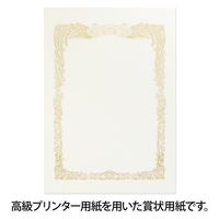 オキナ OA対応賞状用紙 SX-B4Y B4横書 10枚 1パック(10枚)×2（直送品）
