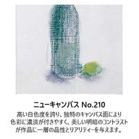 エスケント 水彩画紙4ツ切100枚 No210ニューキャンバス スイサイガヨウシ4キリ100NO210 1包（直送品）