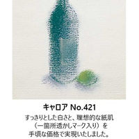 エスケント 水彩画紙4ツ切100枚 No421キャロア スイサイガヨウシ4キリ100NO421 1包（直送品）