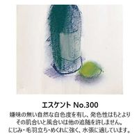 エスケント 水彩画紙8ツ切100枚 No300エスケント ビジユツスイサイNo.300 8ツ 1包（直送品）