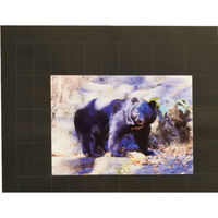 マルアイ マス目模造紙プルタイプ 20枚 黒 マ-21D 1箱（直送品）