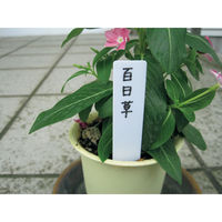 有限会社ヒラサワ ドリーム立型ラベル 11cm 10枚入り 白 ラベル11CMシロ 1セット(1パック×10)（直送品）