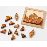 DLM 寄せ木三角パズル CA010 1個（直送品）
