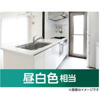 パナソニック 直管パルック蛍光灯 40形(W) ラピッドスタート形 ナチュラル色(昼白色) FLR40SEXNMX36F3 1本