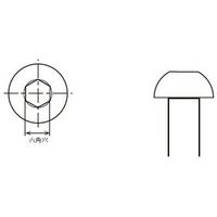 丸中洋行 BCB05ー020S 六角穴付きボタンボルト M5ー20 10本 1セット(4セット)（直送品）