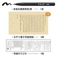 呉竹 今日からはじめる!写経セット 初級用 LA26-79 1個（直送品）