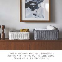 サンリツ KLEANE PLUS洗える抗菌素材のドライヤー入れバスケットL ホワイト 　1個