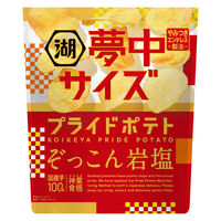 ポテトチップス おつまみ 夢中サイズ 湖池屋 プライドポテト ぞっこん岩塩 102g 12袋 湖池屋