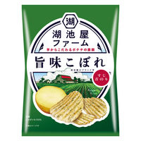 ポテトチップス おつまみ 湖池屋ファーム 旨味こぼれ すじ青のり 55g 12袋 湖池屋