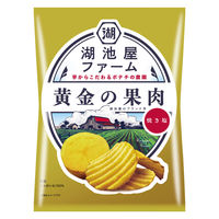 ポテトチップス おつまみ 湖池屋ファーム 黄金の果肉 焼き塩 55g 12袋 湖池屋
