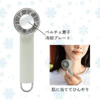 トレードワン ウィンジー USB充電式ペルチェファン カラビナ付 ホワイト 30920 1台