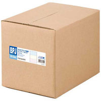 ヒサゴ プリンタ帳票限定 A4カラー2面4穴 2500枚 BPJ2011WZ 1箱（直送品）