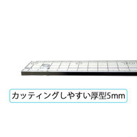 NTカッター カッティングスケール CS-502 1枚（直送品）