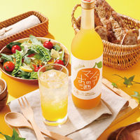 國盛 フルリア マンゴーのお酒 果汁50％ 720ml 1本 リキュール