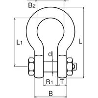 浅野金属工業 ダルマシャックル/24 AK2122 1個（直送品）