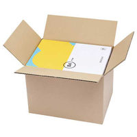 TP 宅配用段ボール箱 100サイズ 10枚 TP-003 1パック(10枚)（直送品）