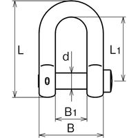 浅野金属工業 角頭シャックル(割りピン付)/16 AK11094 1個（直送品）