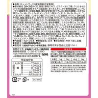 （バラエティパック）いなば CIAO チャオ ちゅ～るごはん 猫 シニア猫用 バラエティ 国産（14g×36本）1箱 ちゅーる ウェット おやつ