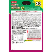 （バラエティパック）いなば ちゅ～る 犬 総合栄養食（BOX）とりささみ・野菜バラエティ 国産（14g×20本）1箱 ちゅーる ドッグフード おやつ