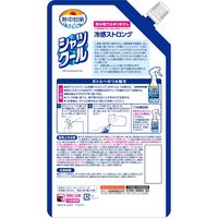 小林製薬 熱中対策 シャツクール 冷感ストロング 詰め替えパウチ 250ｍL 1個