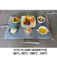 富士商 Felio フードウォーマーセパレート 料理食事保温シリコン製プレート 温度調節 BWR02 1個（直送品）