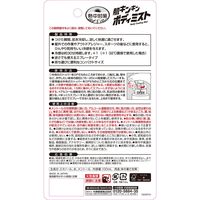 小林製薬 熱中対策 肌キンキンボディミスト 100ｍL 1個