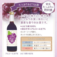國盛 フルリア ぶどうのお酒 果汁80％ 720ml 1本 リキュール