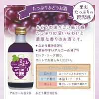國盛 フルリア ぶどうのお酒 果汁80％ 300ml 1本 リキュール