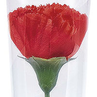 アルファ カーネーションかすみイラストラップ(大) MA1-0027D 1本（直送品）