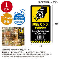 アルファ 5ヶ国語ステッカー 防犯カメラ OK-CW00037 1枚（直送品）