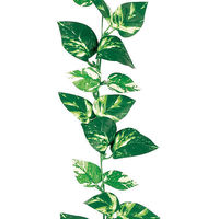 アルファ ポトスガーランド TR8-2004 1本（直送品）