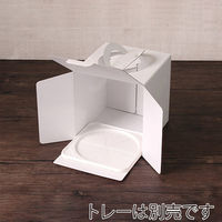 サガシキ ケーキ箱 白無地デコ箱5号 H200 4582673770221 1セット(1袋(25枚入)×2)（直送品）