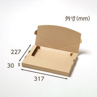 サガシキ メール便ケース ジッパー付 A4 3cm対応 4582673774915 1セット(50枚入)（直送品）