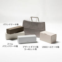 サガシキ 紙袋 RPダークグレー 4582673774984 1セット(100枚入)（直送品）