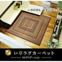 イケヒコ グラデーション い草ラグ 2000×1400mm グリーン 1050090122303 1枚（直送品）