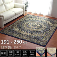 イケヒコ サークル い草ラグ 2500×1910mm ネイビー 1050530193904 1枚（直送品）