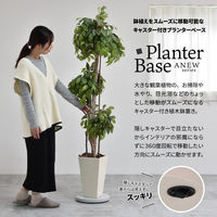 【軒先渡し】B.Bファニシング Noko ラウンドプランターベース 幅300×奥行300mm ベージュ NKLZ0262MOBEG 1台（直送品）